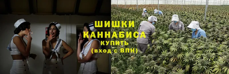 купить наркотики цена  Верещагино  Марихуана OG Kush 